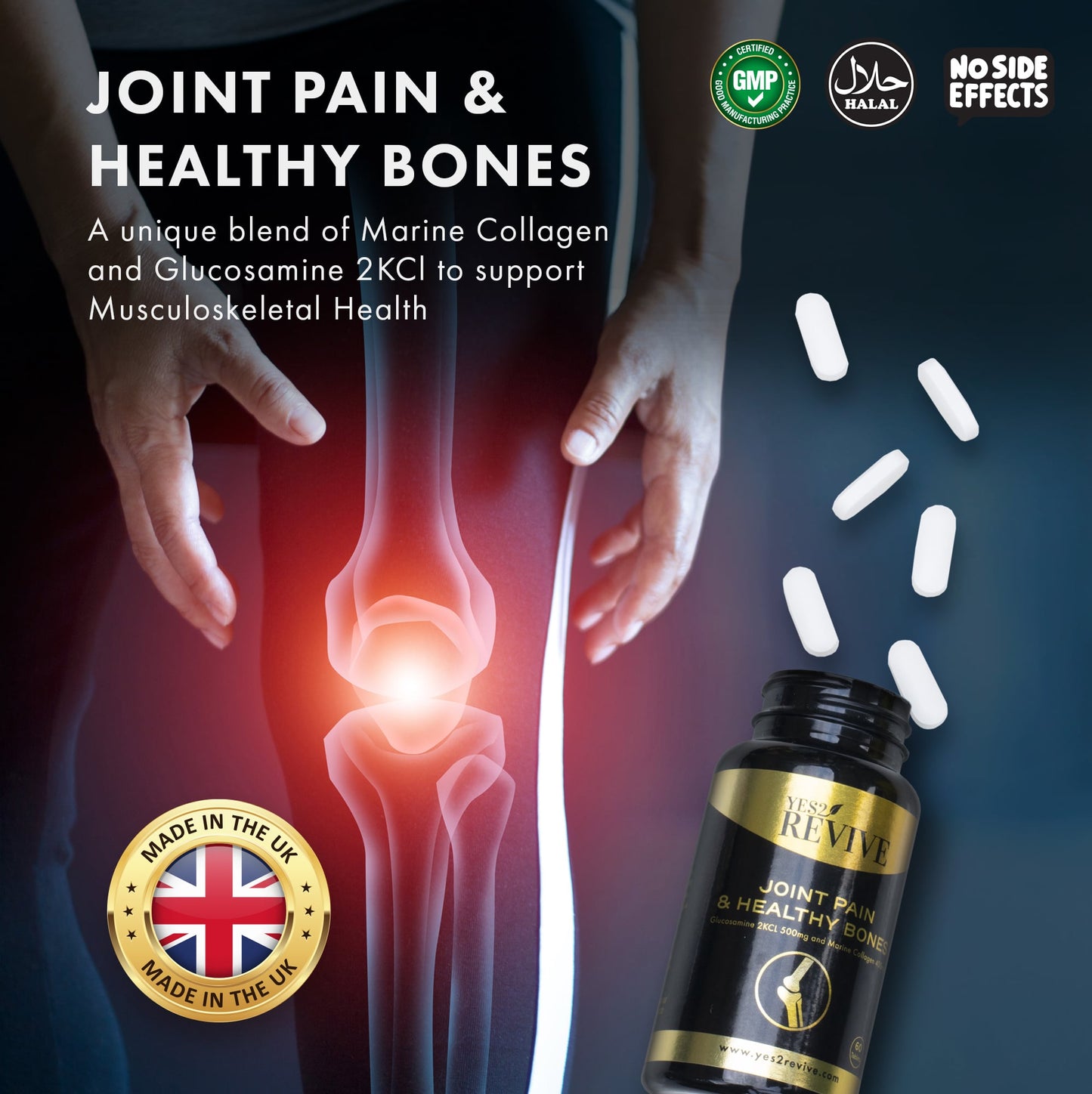 Joint Pain & Healthy Bones